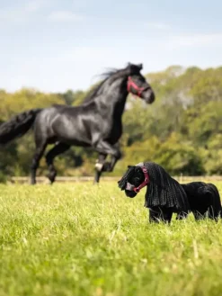 LeMieux Toy Pony Spike
