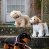 LeMieux Toy Puppy