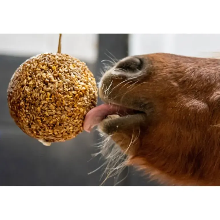 Likit Granola Stall Ball