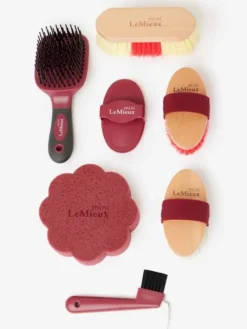 Mini LeMieux Grooming Set