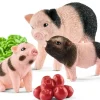 Miniature pig mother and piglets