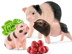 Miniature pig mother and piglets