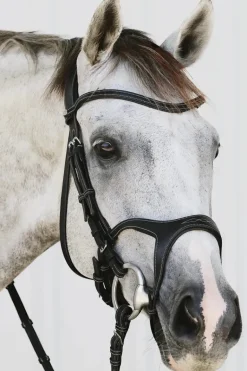 Montar Monarch Jumping Bridle Eco Leather