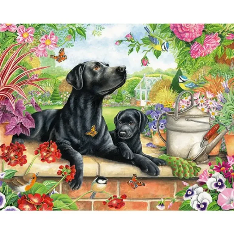 Otter House 1000 Piece Puzzles