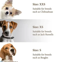 Pampeano Leather Dog Collar Hermoso