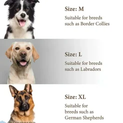 Pampeano Leather Dog Collar Hermoso
