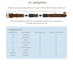 Pampeano Leather Dog Collar Hermoso