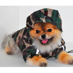 Pet London Base Raincoat