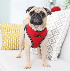 Pet London Trek Harness A