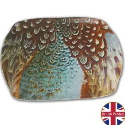 Pheasant Feather Medium Melamine Serving Tray by Charles Sainsbury-Plaice