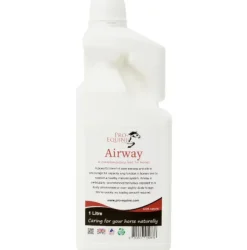 Pro-Equine Airway