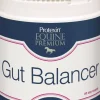 Protexin Gut Balancer 400g