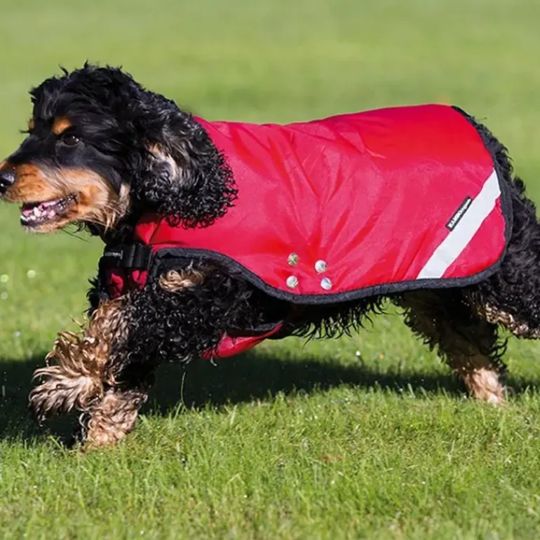 Rambo Duo Dog Rug Red