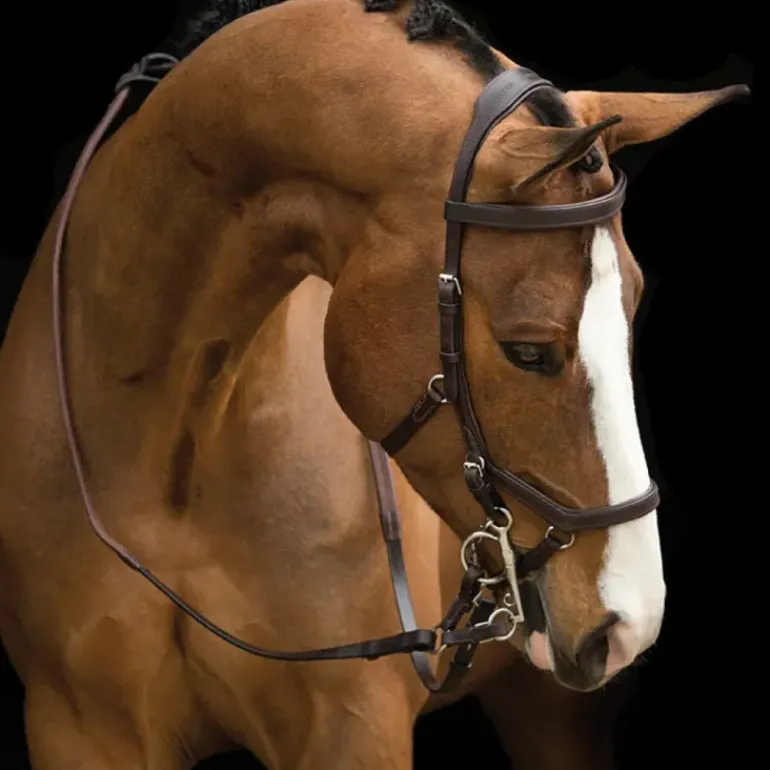 Rambo Micklem Competition Bridle