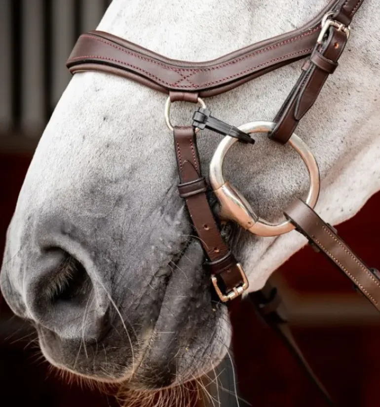 Rambo Micklem Competition Bridle