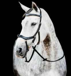 Rambo Micklem Multi Bridle