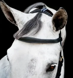 Rambo Micklem Multi Bridle