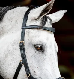 Rambo Micklem Multi Bridle
