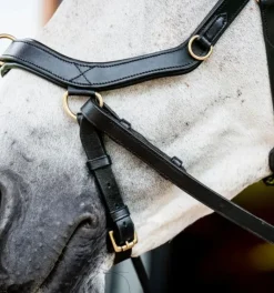 Rambo Micklem Multi Bridle