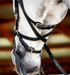 Rambo Micklem Multi Bridle