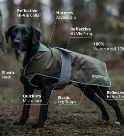 Reincoat Dog