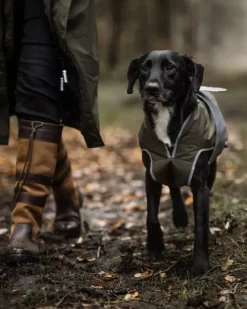 Reincoat Dog