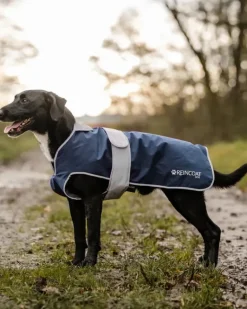 Reincoat Dog