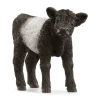 Schleich Galloway Calf