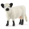 Schleich Galloway Heifer Cow