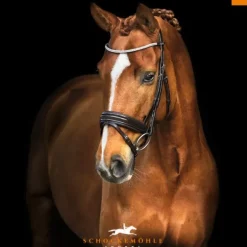 Schockemohle Manhattan Double Bridle