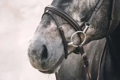 Schockemohle Stuttgart Bridle