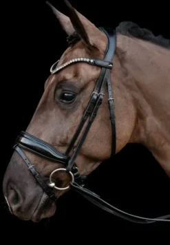 Schockemole Sienna Bridle
