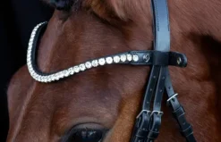 Schockemole Sienna Bridle