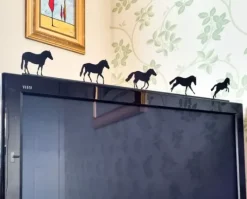 ShadowShapes Pony Club Series