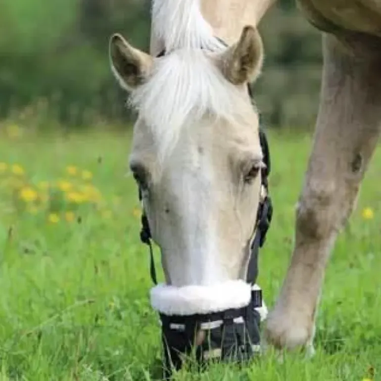 Shires Deluxe Comfort Grazing Muzzle