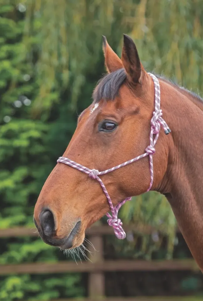 Shires Rope Control Headcollar