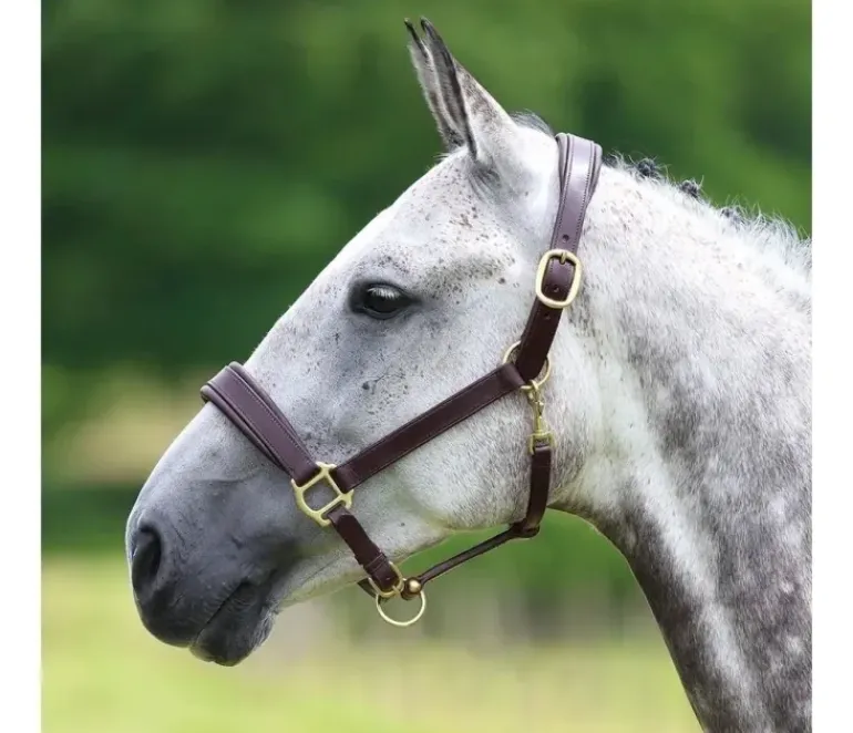 Shires Velociti GARA Leather Travel Headcollar