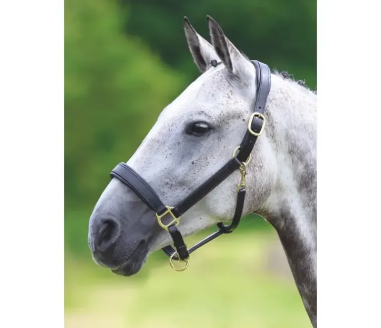Shires Velociti GARA Leather Travel Headcollar