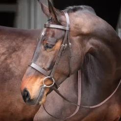 Shires Velociti GARA Plain Bridle