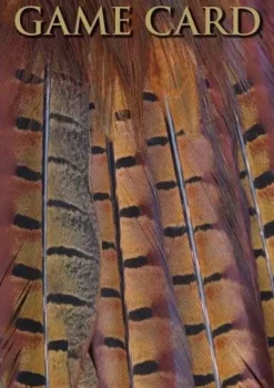 Shoot Game Cards - Pheasant Tail Feathers by Charles Sainsbury-Plaice