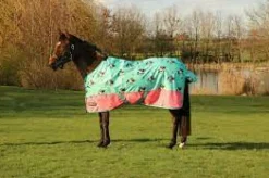 Storm X Original 0 Turnout Rug Thelwell Collection Trophy