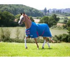 Tempest Original Lite Turnout Rug