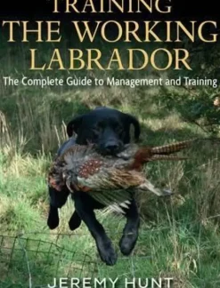 Training The Working Labrador Book