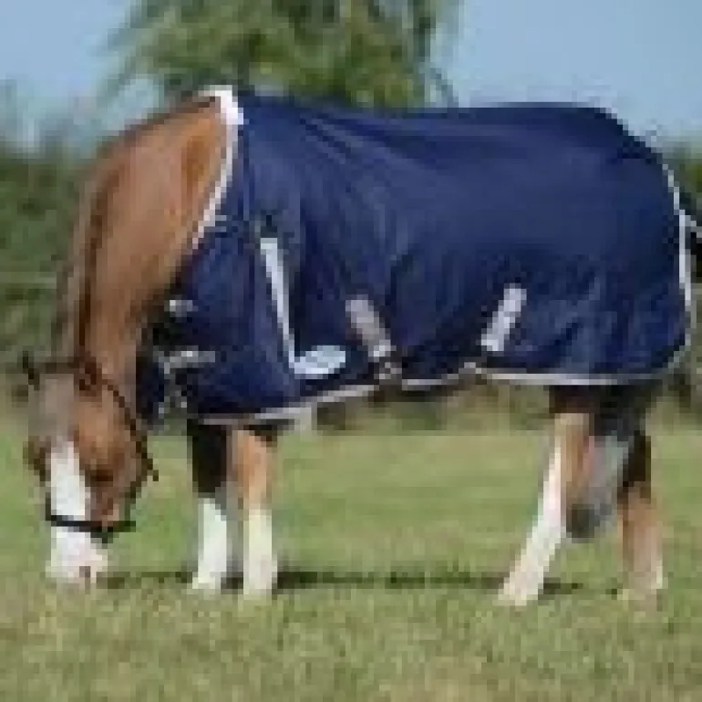 Weatherbeeta Comfitec Essential Standard Neck Lite