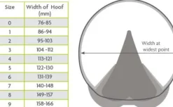 Woof Wear Medical Hoof Boot