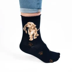Wrendale 'Hopeful' Socks